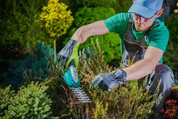 landscaping services Dennison